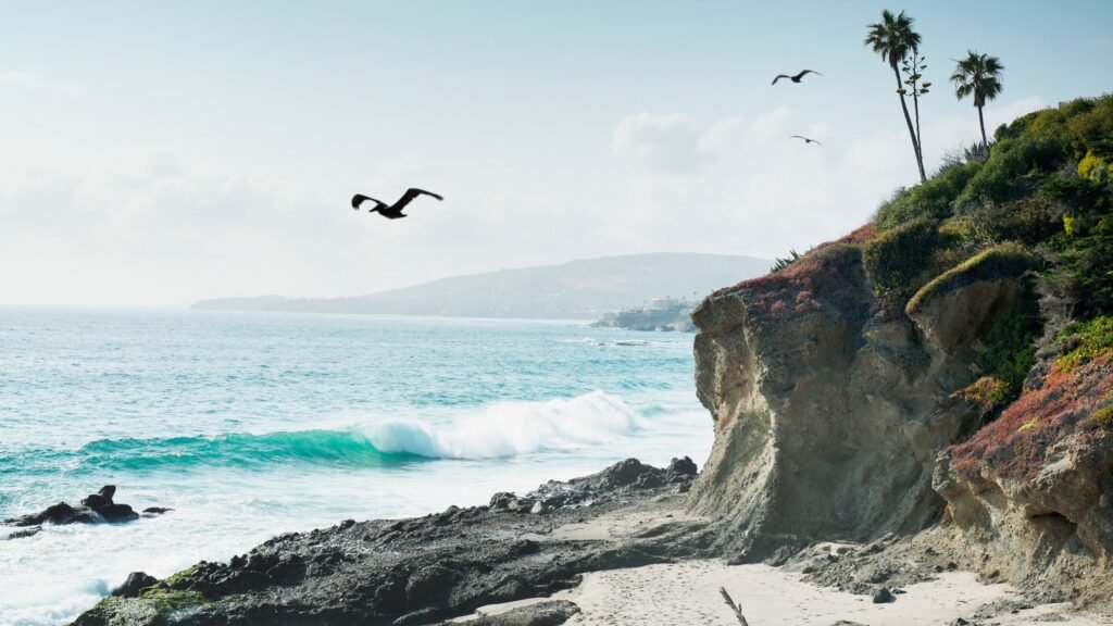 22 Best Beaches in Los Angeles, From Venice to White Point