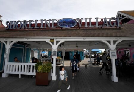 Off-duty, armed Border Patrol agent charged with drunken attack on Long Beach officer – Orange County Register