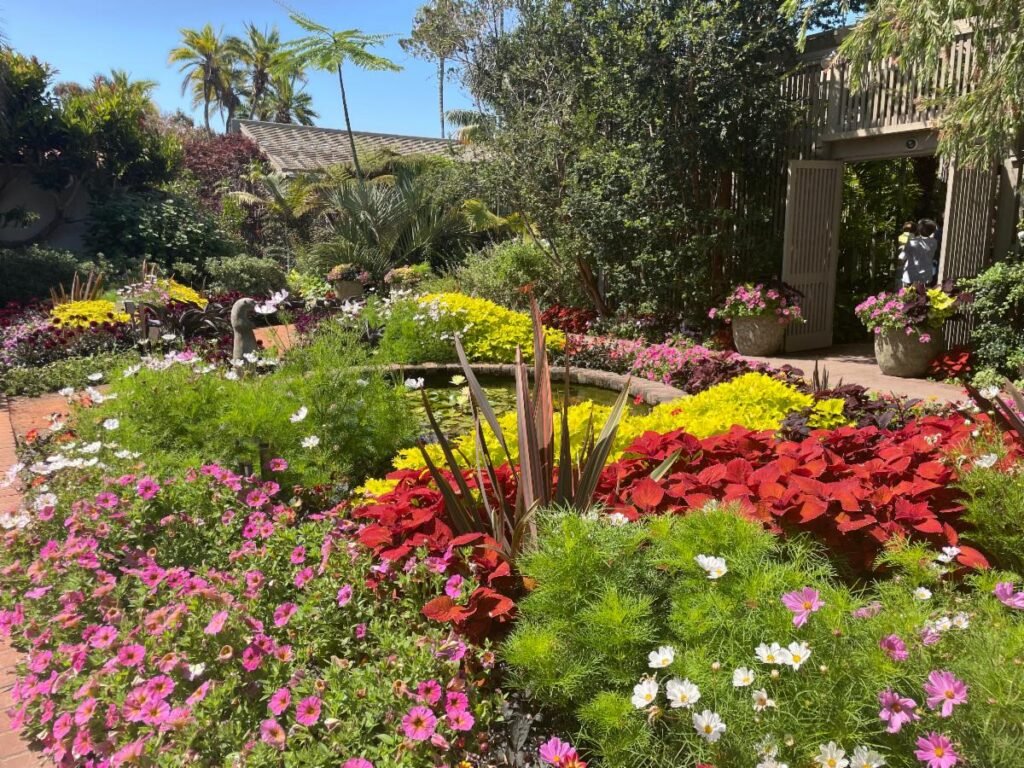 garden