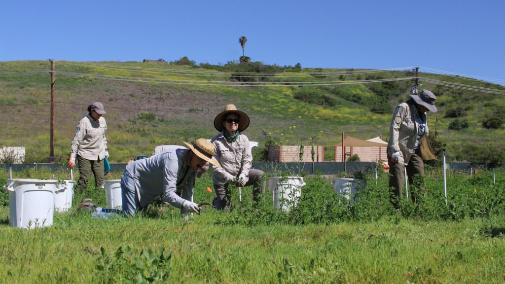 Gardening Demonstrations and Teen Activities
