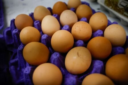 Trump administration sues California over egg prices, farm animal welfare laws – Orange County Register