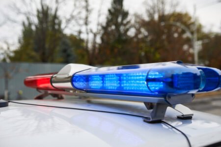 2 arrested in connection with dog attack that killed infant girl in Torrance last year – Orange County Register