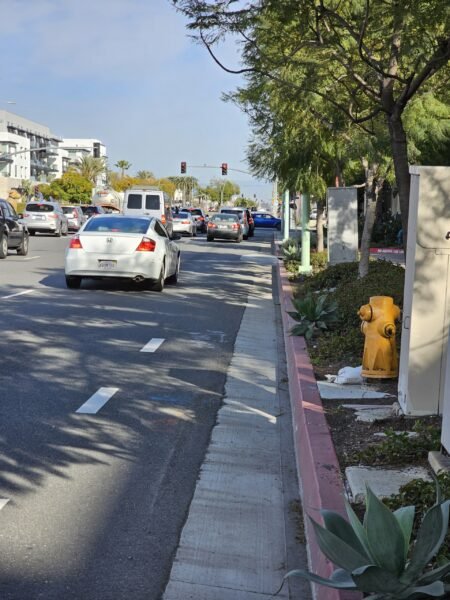 Enough! We Don’t Need More E-bike Laws