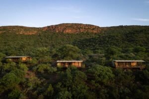 This Luxury Safari Lodge in South Africa Just Launched a Pay-What-You-Can Program