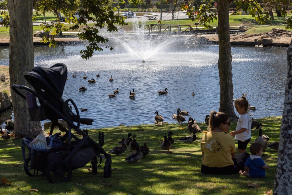 TeWinkle Park Lakes to Undergo $2.5M Renovation