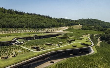 Exclusive Wine Clubs You Can Join for Collectors