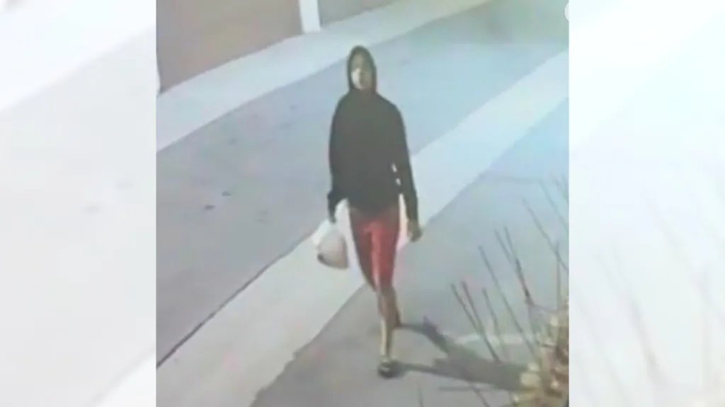 Woman accused of throwing poodle in plastic bag over fence in Anaheim is arrested – Orange County Register