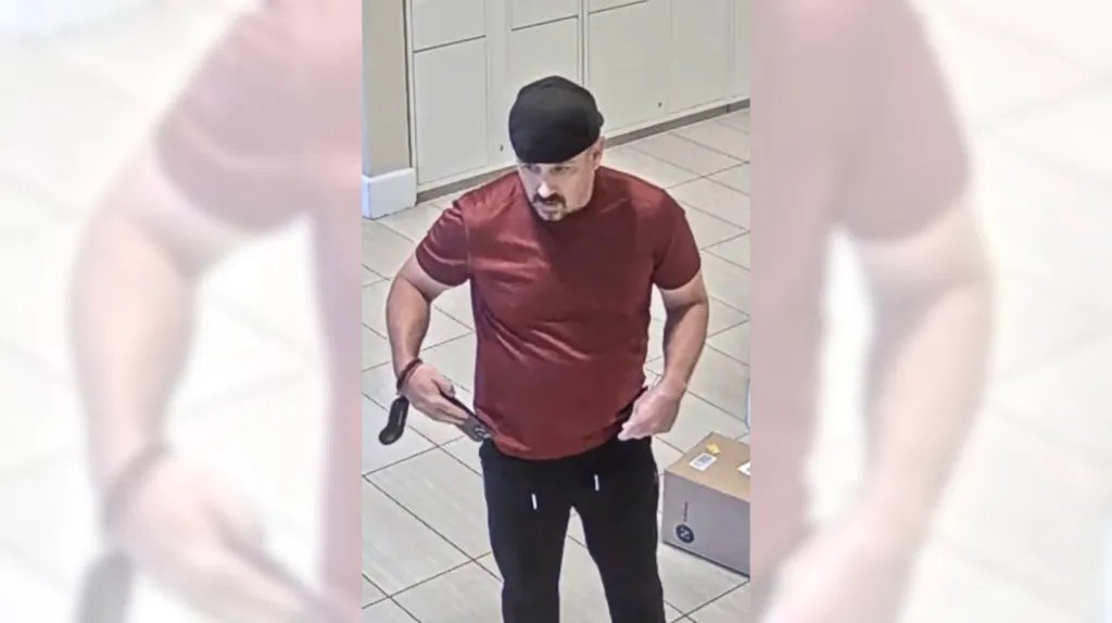 Backstreet Boy lookalike suspected in package theft, Irvine police say – Orange County Register