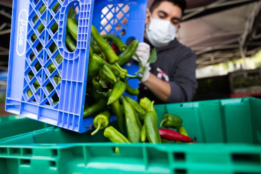 CalFresh and Medi-Cal Cuts Threaten OC Families