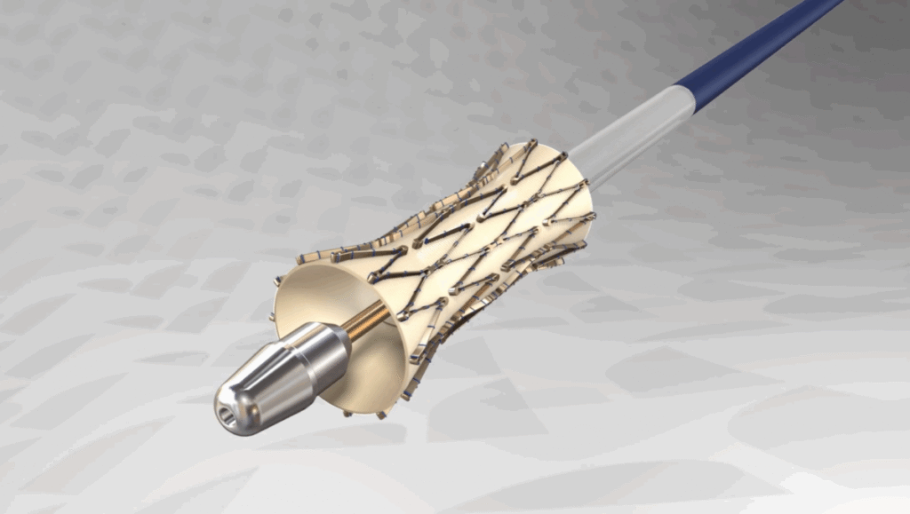 FDA Denies enVVeno Medical’s Appeal