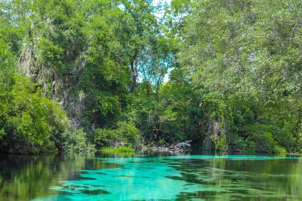 This Is One of Florida's Most Enchanting Roadside Stops