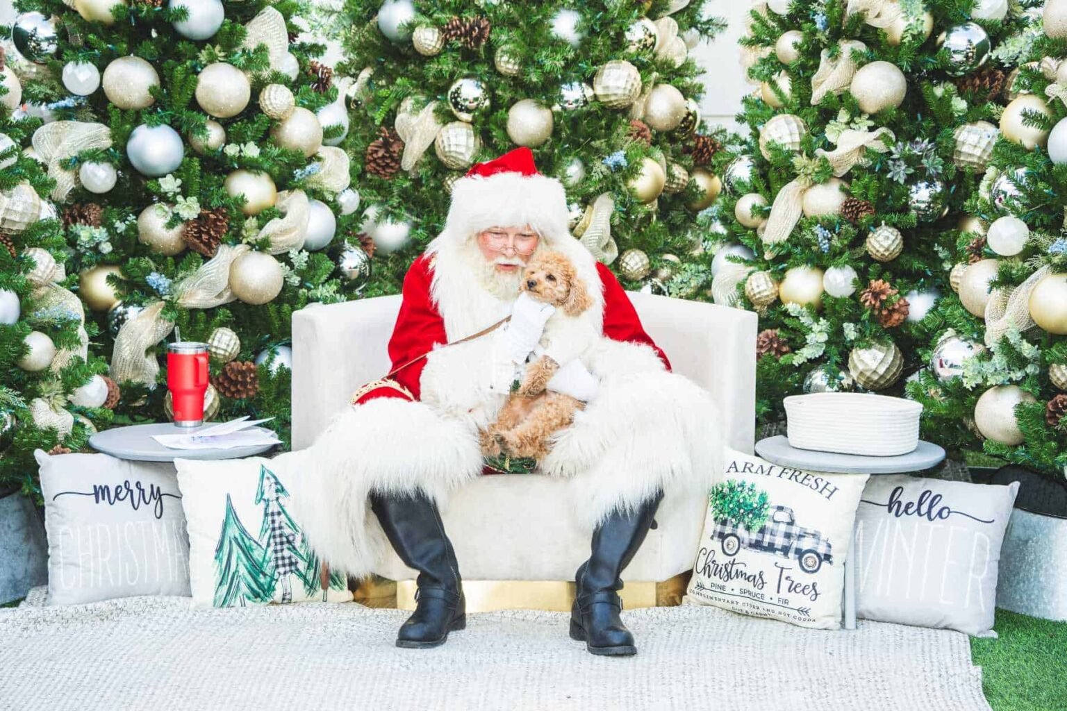 Holiday Shopping The Forum Carlsbad