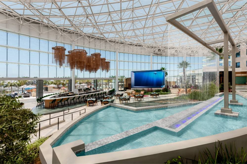 Where Every Hour’s a Highlight