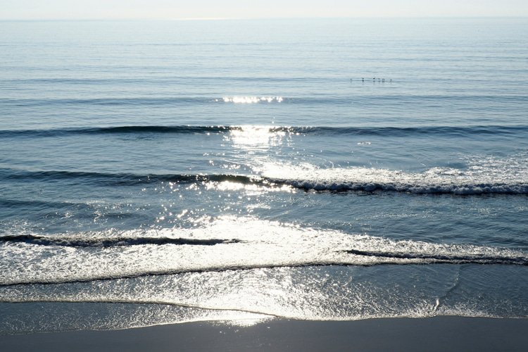 Swell: it is possible to calculate the speed of any given wave train traveling across the ocean | Photo: Szarzynski/Creative Commons