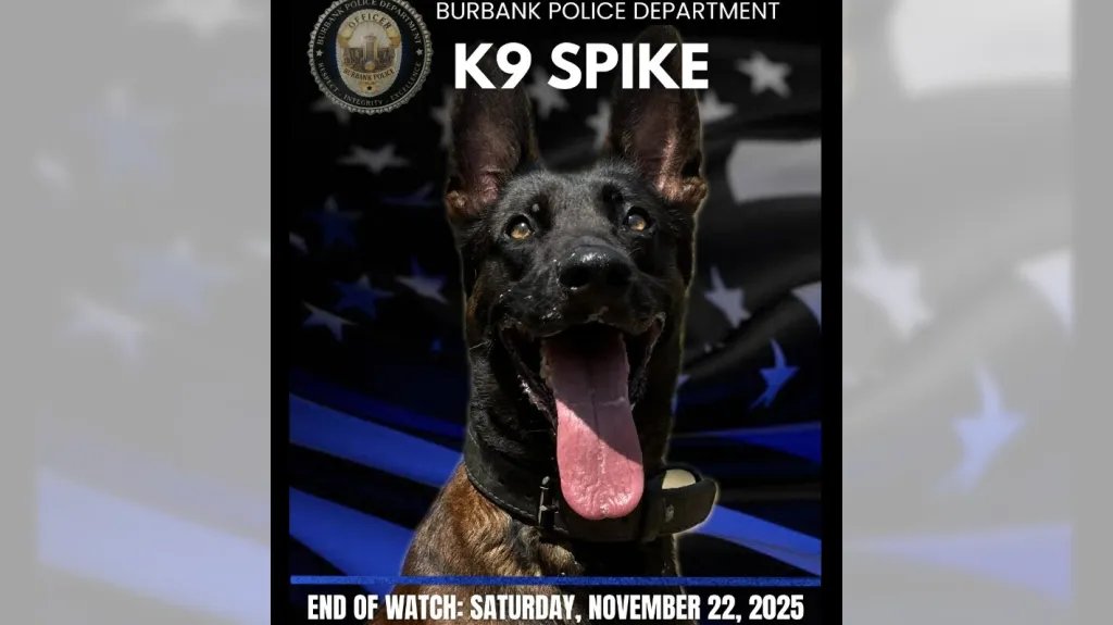 Police K-9 Spike dies after being shot in Burbank; Fleeing suspect also killed – Orange County Register