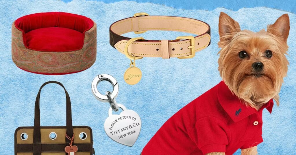 The 36 Best Dog Accessories and Gifts for Dog Lovers