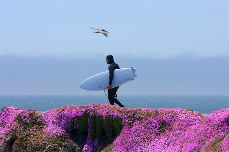 Swellcycle: a 3D-printed surfboard made from sustainable sources and with near-zero waste | Photo: Swellcycle