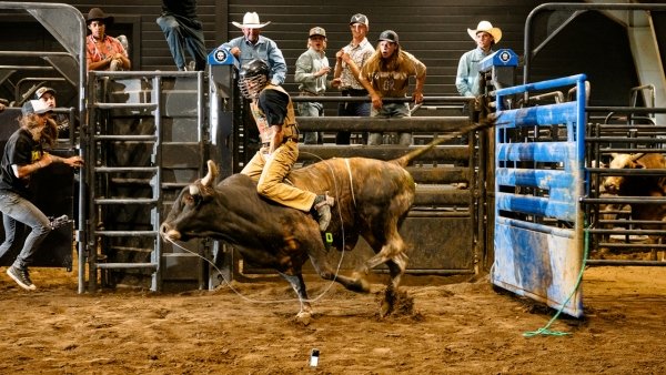 MASHER: Bowls and Bulls