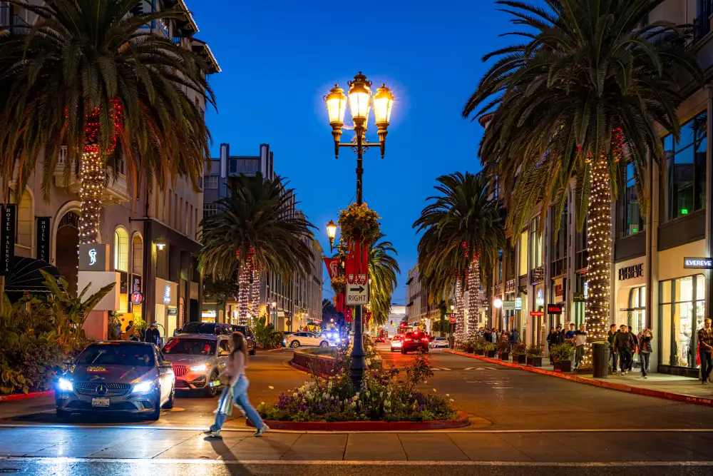 Bay Area Holiday Shopping