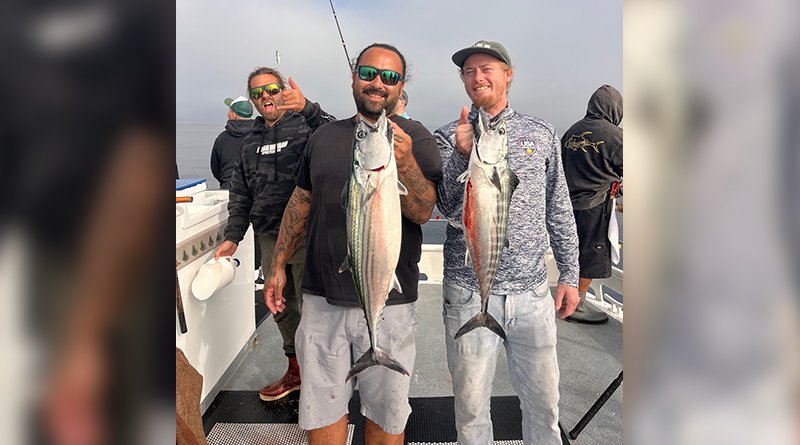 South Coast Fish Report | The Log