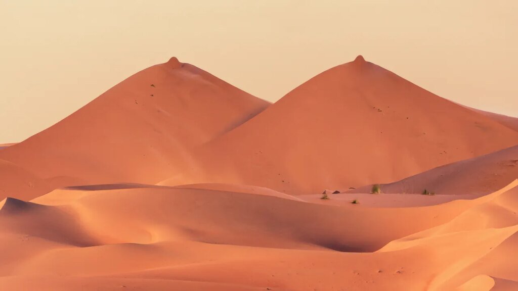 These Are the Best Products to Use for Dry Nipples, According to Experts