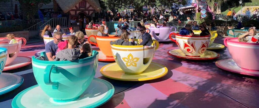 What are the most popular rides at Disney?