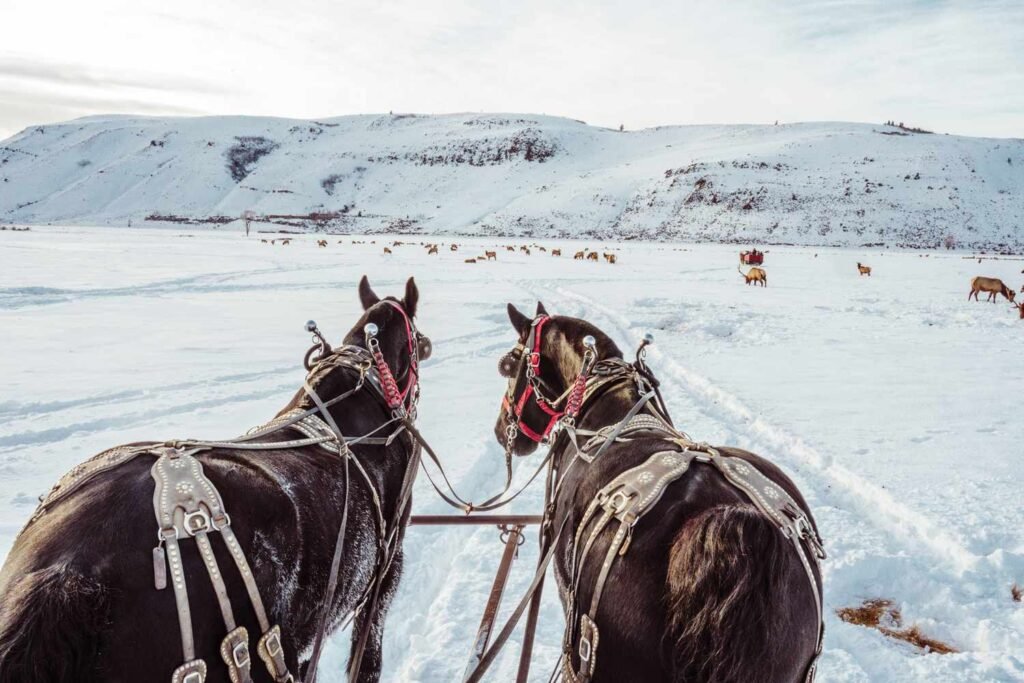 America’s Coziest Small Towns for a Winter Weekend Getaway