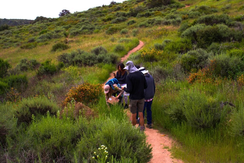 Mountain Biking and Outdoor Activities