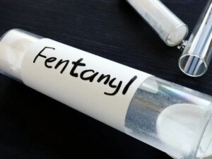 Pit Bull Owner Denies Puppy Overdosed on Fentanyl in OC Pit Bull Owner Says Puppy Did Not Overdose On Fentanyl In OC