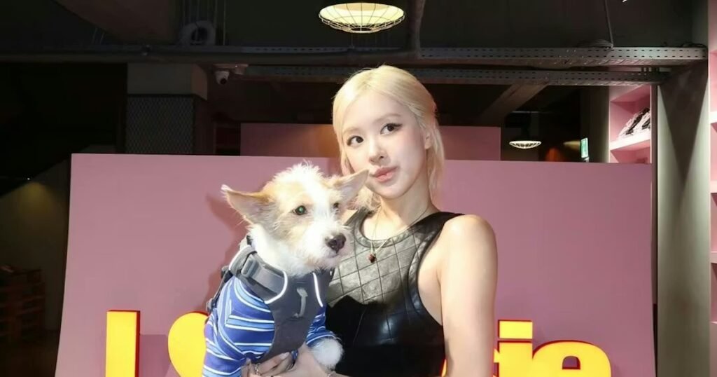Rosé's LBD Is Almost as Cute as Her Little Dog, Hank