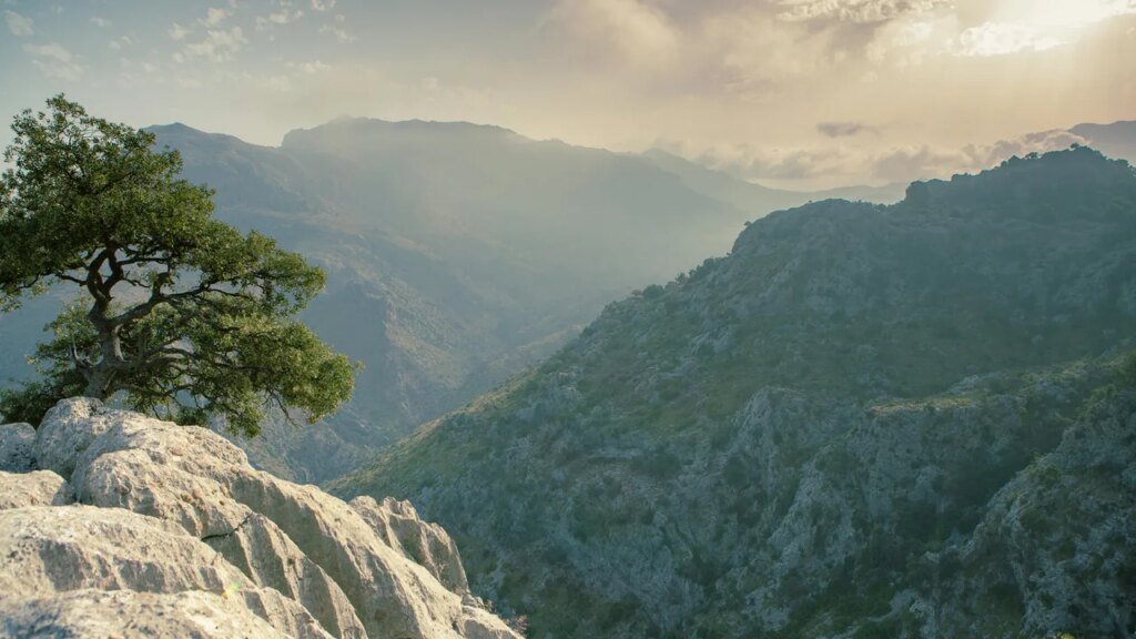 Best Hikes in Mallorca: Explore the Balearic Isle’s Hidden Trails 8 Best Hikes in Mallorca to Explore the Balearic Isle