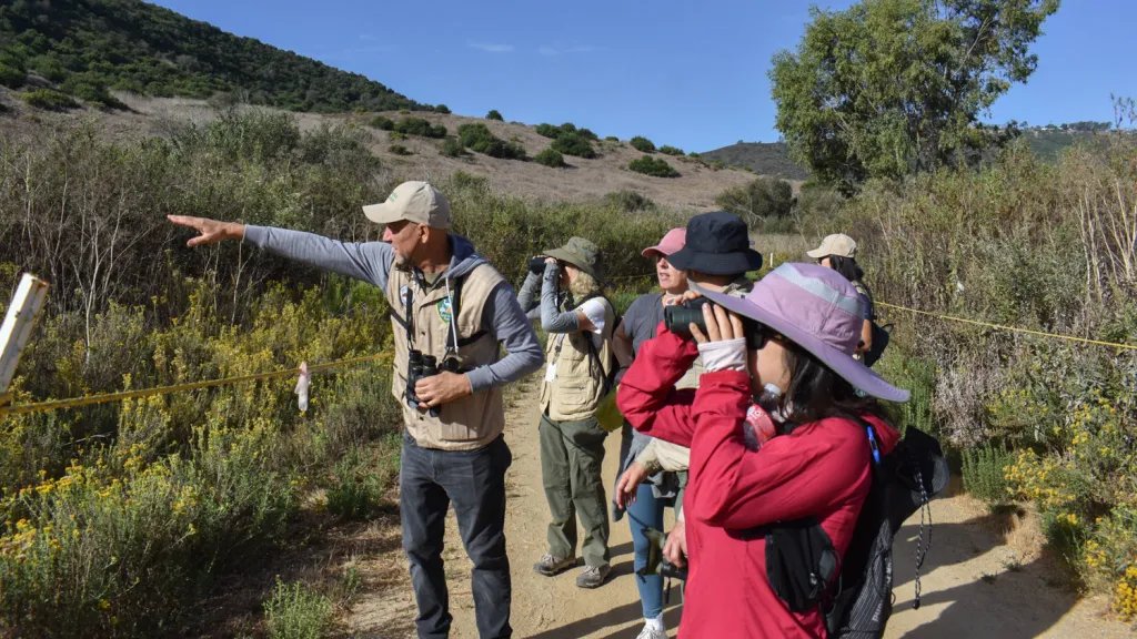 Bird Watching and Trails: Enjoy Free Outdoor Activities Today Free Things to Do: Bird Watching and Trail Access