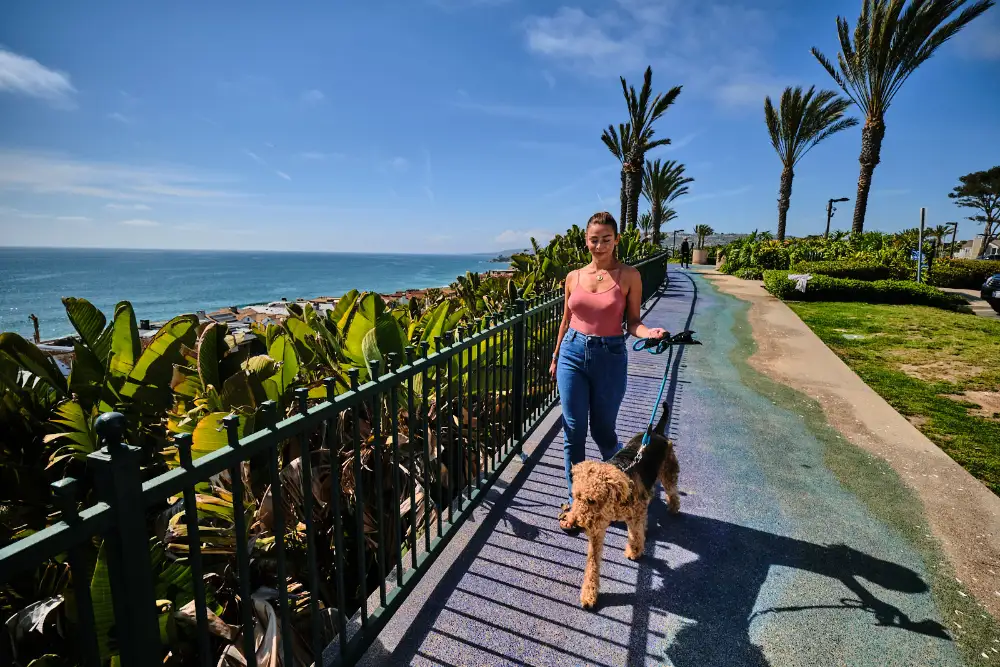 Dana Point: California’s Premier Destination for Dog Lovers Dog‑friendly Getaway Dana Point