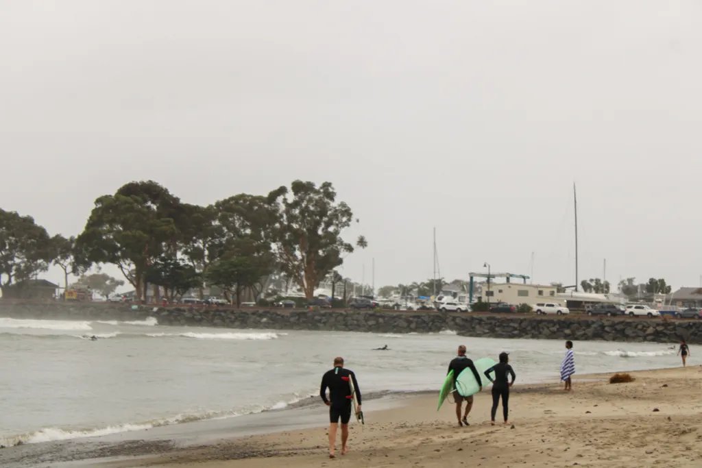 Herbicide Threatening South OC Beaches, Warns Santana Santana: Herbicide Could be Making Its Way to South OC Beaches