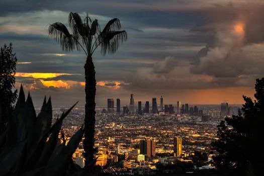 Best Neighborhoods to Live in Hollywood Hills, CA