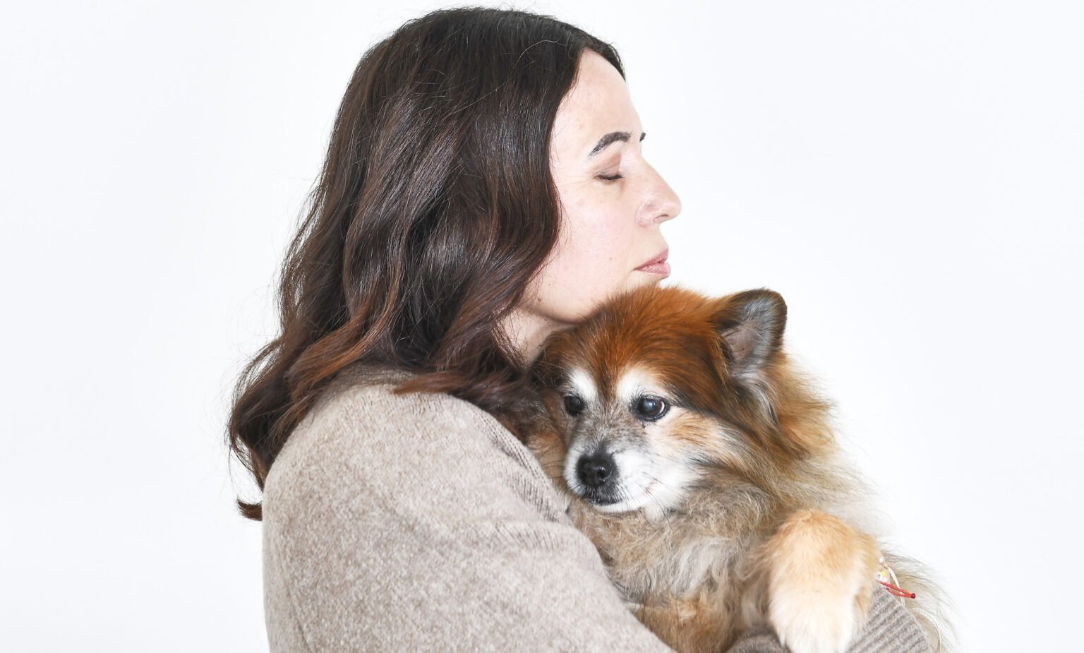 Hershey the Rescue Dog Finds Forever Home in Mission Viejo