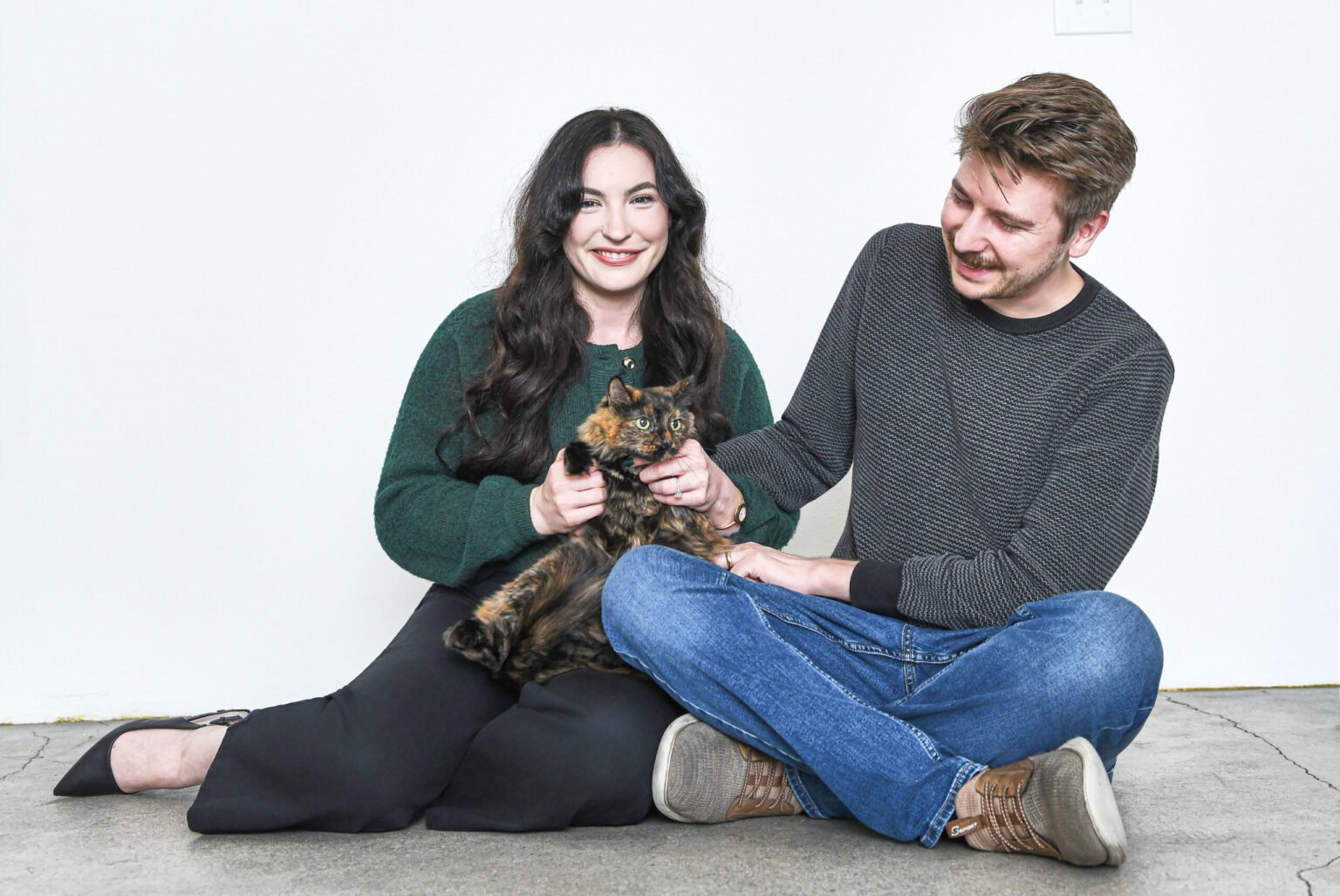 Pudding the Tortoiseshell Rescue Cat