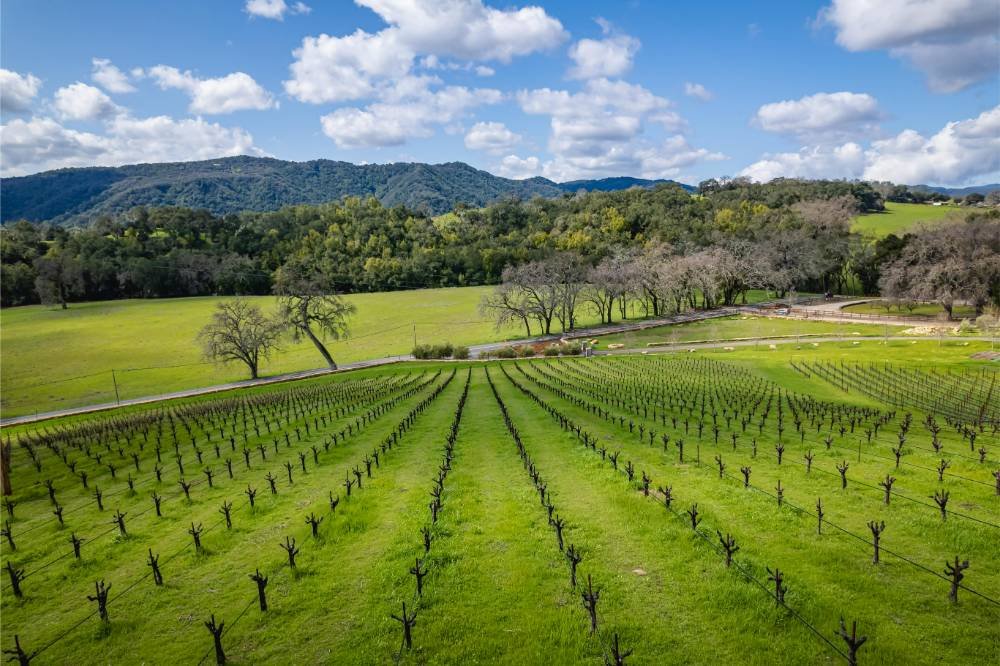 An Intimate Wine Country Escape to Paso Robles