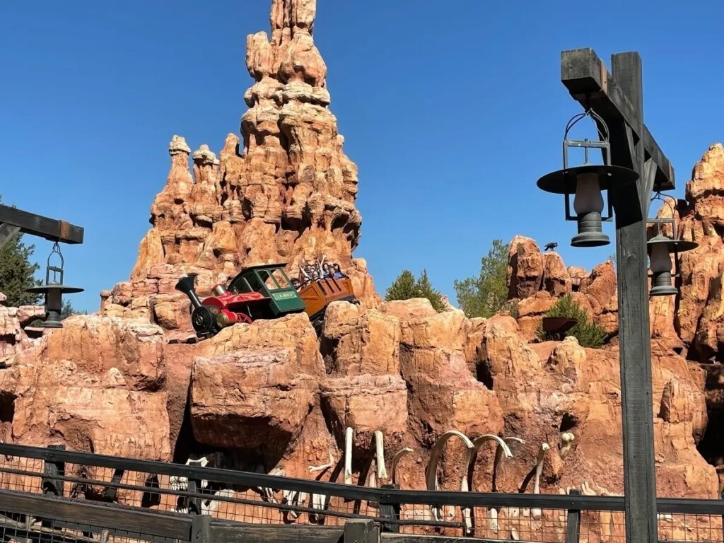Disneyland Ride Arrest: Woman Attempts Police Evasion Patch News