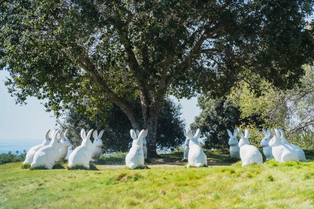 Newport Beach to Study Replacing Part of Park with Police Station Amid Pushback