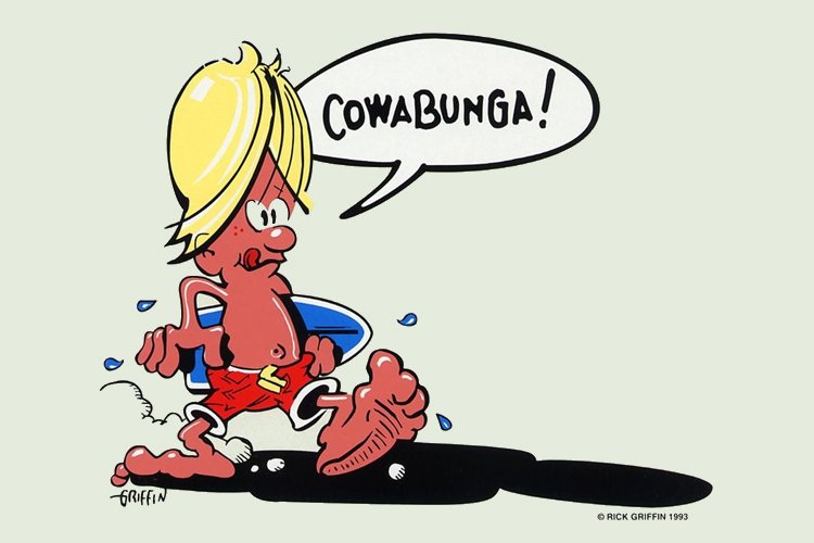 'Cowabunga!': an expression created in the late 1940s that surfers embraced in the 1960s