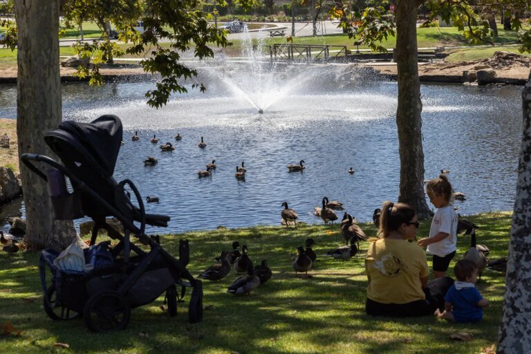 Costa Mesa Gears Up for Park Renovations