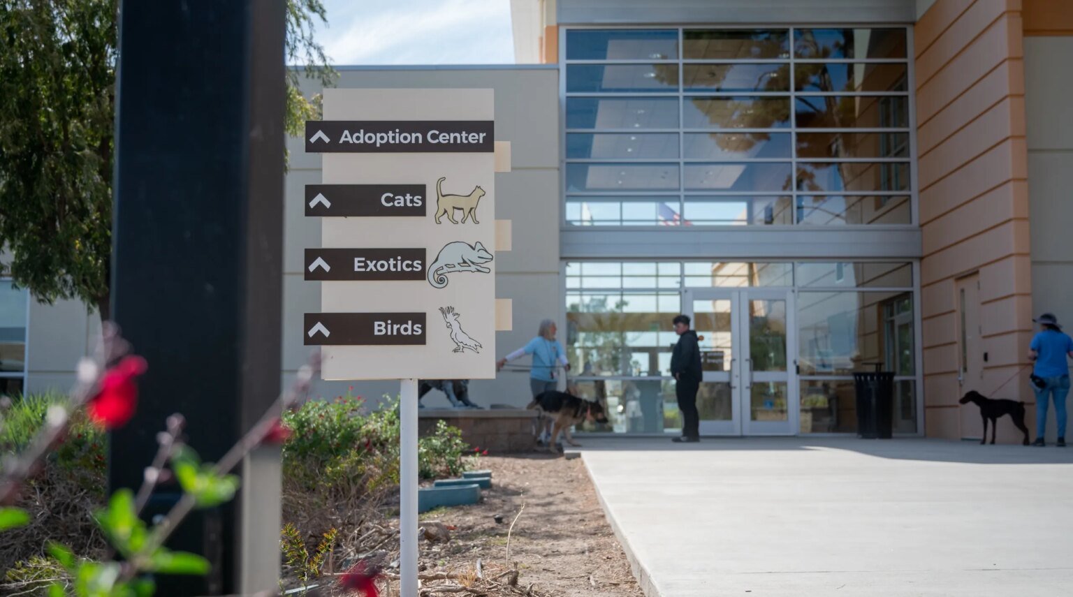 County Officials Look to Settle Dog Mauling Lawsuit at OC Animal Care for $450,000