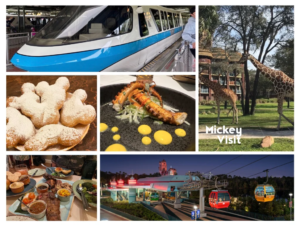 5 Disney World Resort Hopping Food Crawl Itineraries in Each Resort Area - Mickey Visit
