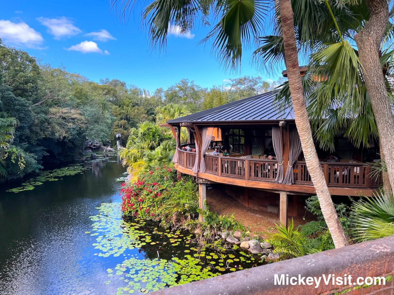 Disney World Lounge: The Ideal Spot for a Midday Break Nomad Lounge over water at Animal Kingdom