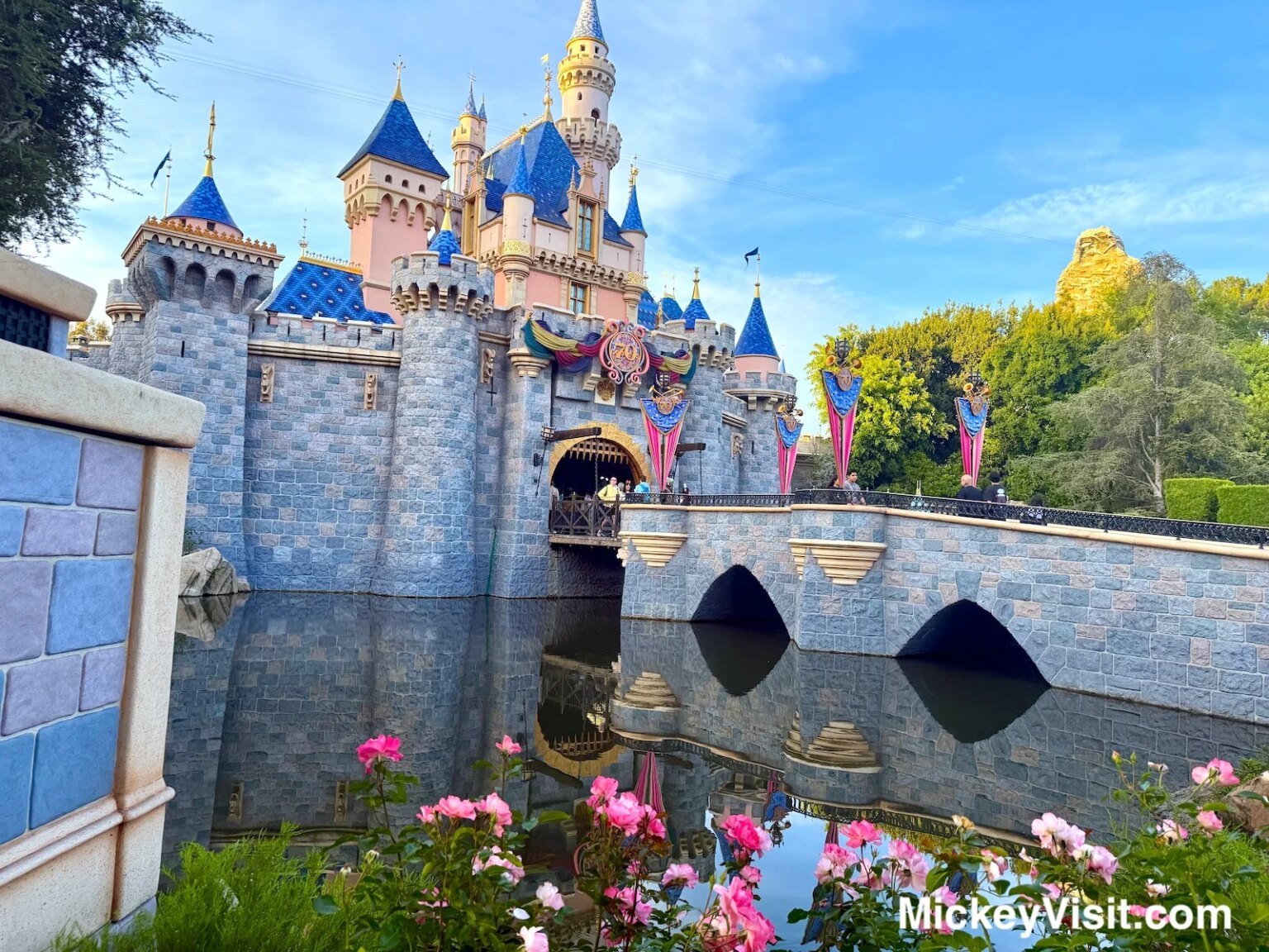 Disneyland Sleeping Beauty Castle with flowers and 70th anniversary decor