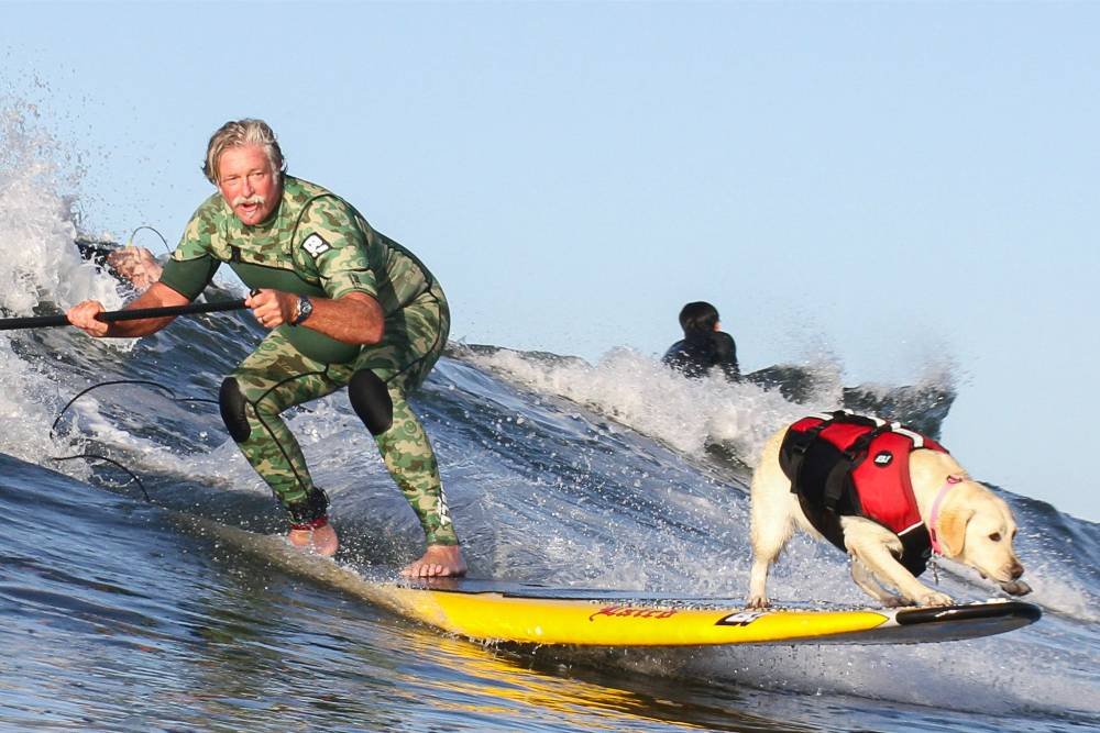 Dog Surfing Comes to Pismo Beach This May