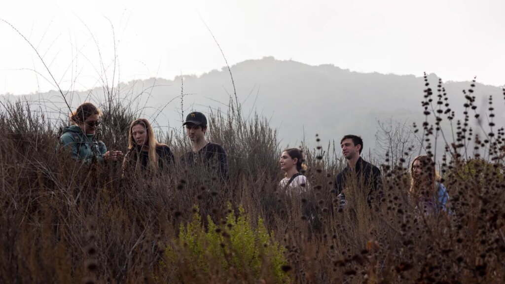 Free Things to Do: Planting Events and Volunteer Activities