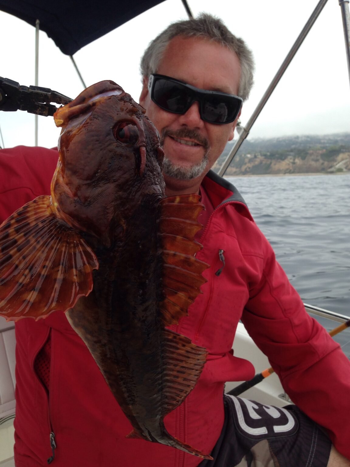 Fun Facts: Why Sculpins Look Mean, Swim Poorly, and Taste Amazing Big Ol Sculpin