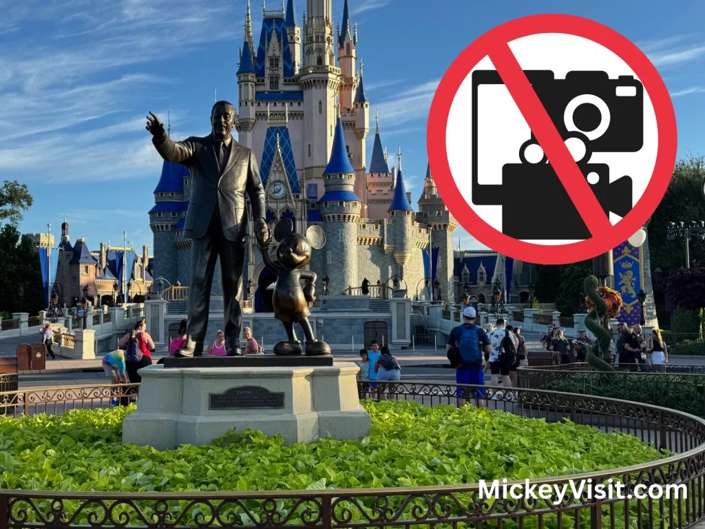 Live Streaming Safety Concerns Rise at Disney Parks After Incident Concerns Grow Over Live Streaming at Disney Parks After Recent Incident